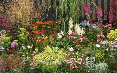 Sandringham Flower Show